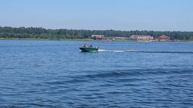 Przyducha na zalewie w Wykrocie. W zbiorniku pływają śnięte ryby [10.08.2015] - zdjęcie #3 - eOstroleka.pl