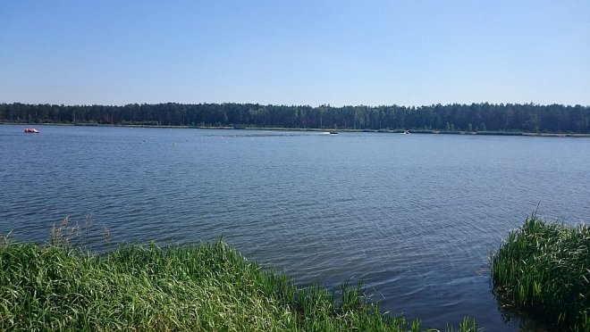 Przyducha na zalewie w Wykrocie. W zbiorniku pływają śnięte ryby [10.08.2015] - zdjęcie #7 - eOstroleka.pl