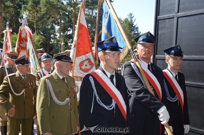Miejskie obchody Święta Wojska Polskiego [15.08.2015] - zdjęcie #19 - eOstroleka.pl