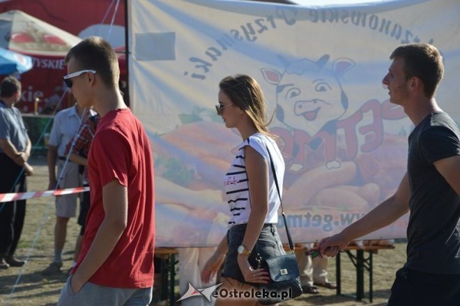 Festyn rodzinny Cud nad Narwią [15.08.2015] - zdjęcie #68 - eOstroleka.pl