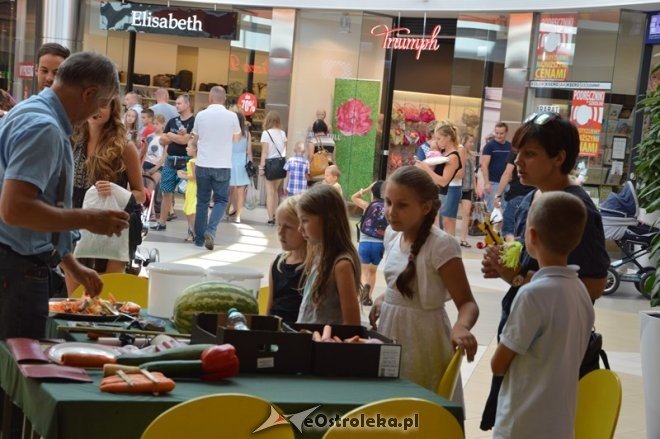 Atrakcje dla dzieci w Galerii Bursztynowej [16.08.2015] - zdjęcie #17 - eOstroleka.pl