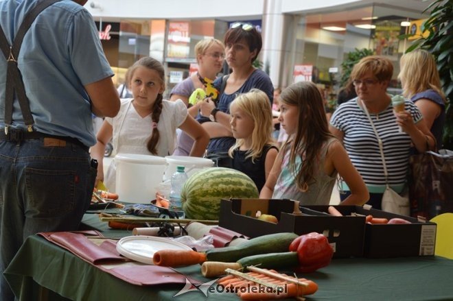 Atrakcje dla dzieci w Galerii Bursztynowej [16.08.2015] - zdjęcie #16 - eOstroleka.pl