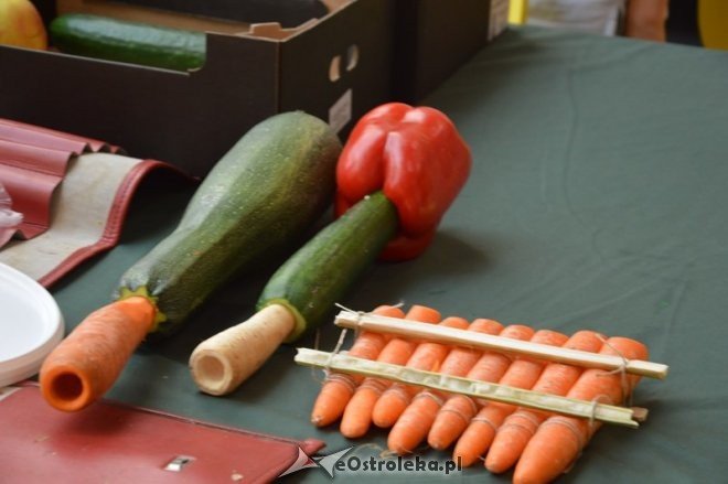 Atrakcje dla dzieci w Galerii Bursztynowej [16.08.2015] - zdjęcie #15 - eOstroleka.pl