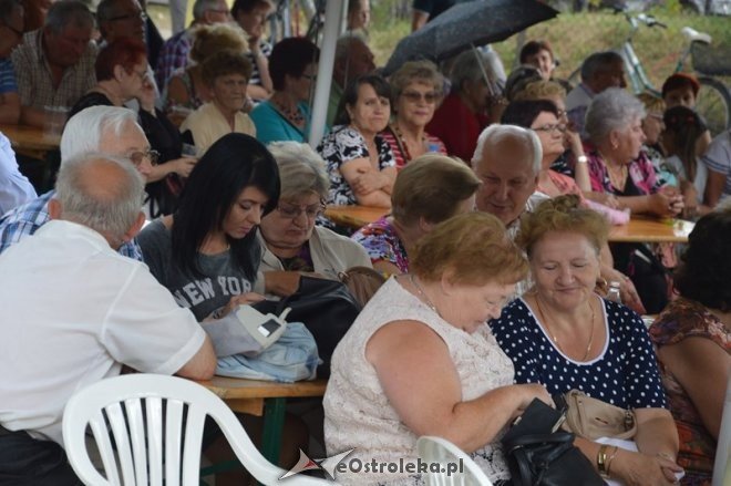 Festyn działkowca - Czeczotka [22.08.2015] - zdjęcie #34 - eOstroleka.pl