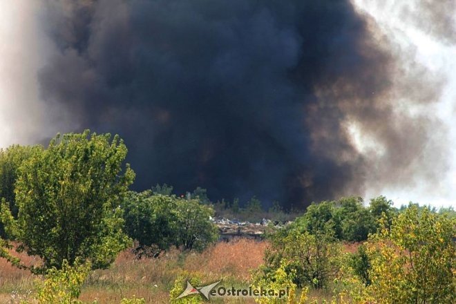 Gigantyczna chmura dymu nad miastem. Ponownie płonie wysypisko śmieci przy Turskiego [23.08.2015] - zdjęcie #29 - eOstroleka.pl