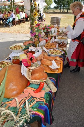 Festyn rodzinny w Lipnikach [25.08.2015] - zdjęcie #32 - eOstroleka.pl