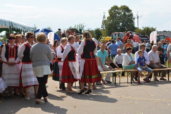 Festyn rodzinny w Lipnikach [25.08.2015] - zdjęcie #52 - eOstroleka.pl