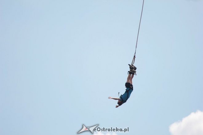 Koncert zespołu Kobranocka [29.08.2015] - zdjęcie #4 - eOstroleka.pl