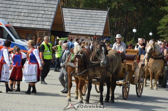 Rozpoczęcie 38. Miodobrania Kurpiowskiego [30.08.2015] - zdjęcie #116 - eOstroleka.pl