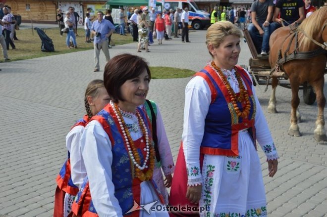 Rozpoczęcie 38. Miodobrania Kurpiowskiego [30.08.2015] - zdjęcie #107 - eOstroleka.pl