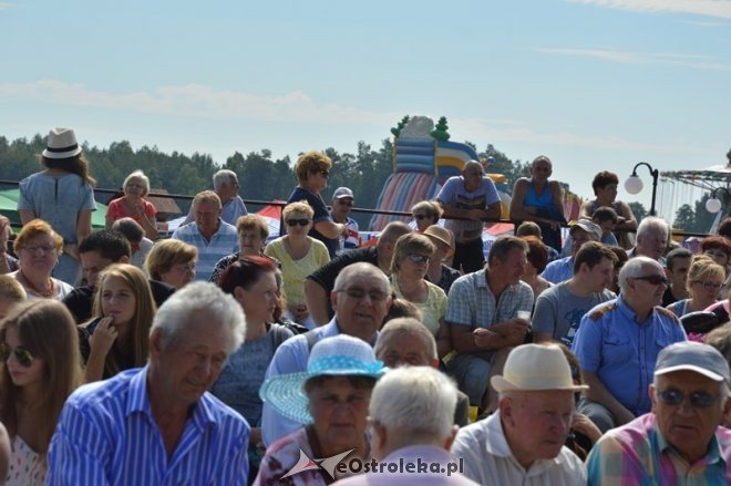 Rozpoczęcie 38. Miodobrania Kurpiowskiego [30.08.2015] - zdjęcie #65 - eOstroleka.pl
