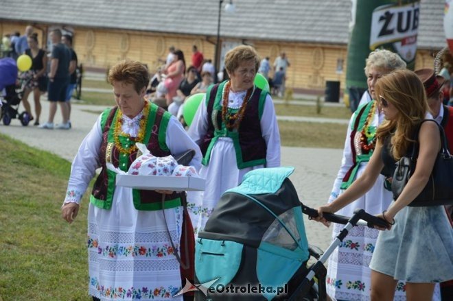 Rozpoczęcie 38. Miodobrania Kurpiowskiego [30.08.2015] - zdjęcie #60 - eOstroleka.pl