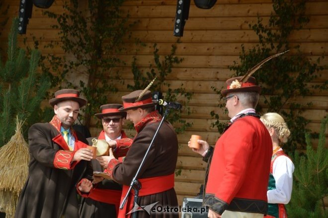Rozpoczęcie 38. Miodobrania Kurpiowskiego [30.08.2015] - zdjęcie #46 - eOstroleka.pl