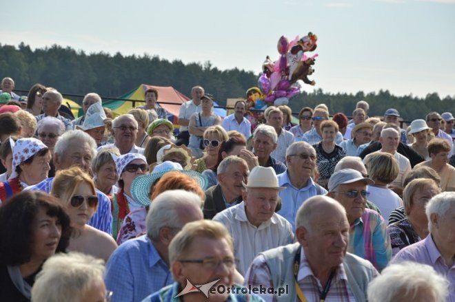 Rozpoczęcie 38. Miodobrania Kurpiowskiego [30.08.2015] - zdjęcie #39 - eOstroleka.pl