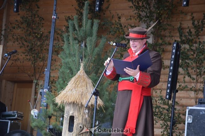 Rozpoczęcie 38. Miodobrania Kurpiowskiego [30.08.2015] - zdjęcie #38 - eOstroleka.pl