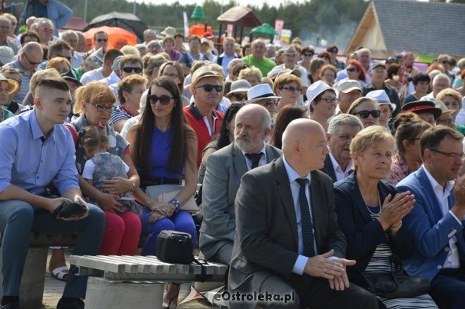 Rozpoczęcie 38. Miodobrania Kurpiowskiego [30.08.2015] - zdjęcie #34 - eOstroleka.pl
