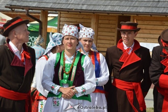 Rozpoczęcie 38. Miodobrania Kurpiowskiego [30.08.2015] - zdjęcie #13 - eOstroleka.pl