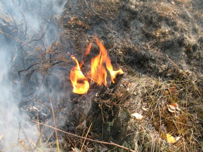 Pożar torfowiska w Piaseczni to celowe podpalenie? Na miejscu znaleziono pusty kanister po paliwie [02.09.2015] - zdjęcie #3 - eOstroleka.pl