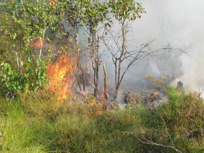 Pożar torfowiska w Piaseczni to celowe podpalenie? Na miejscu znaleziono pusty kanister po paliwie [02.09.2015] - zdjęcie #5 - eOstroleka.pl
