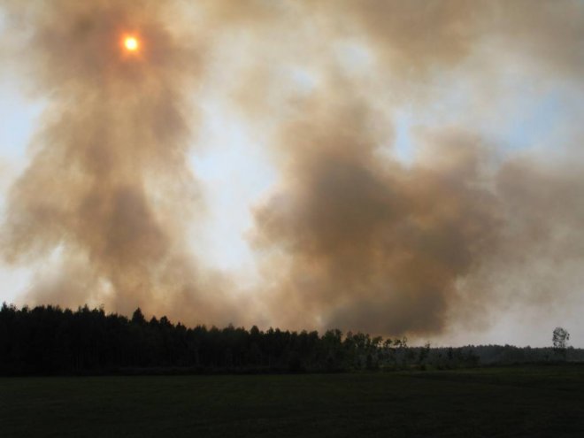 Pożar torfowiska w Piaseczni to celowe podpalenie? Na miejscu znaleziono pusty kanister po paliwie [02.09.2015] - zdjęcie #7 - eOstroleka.pl