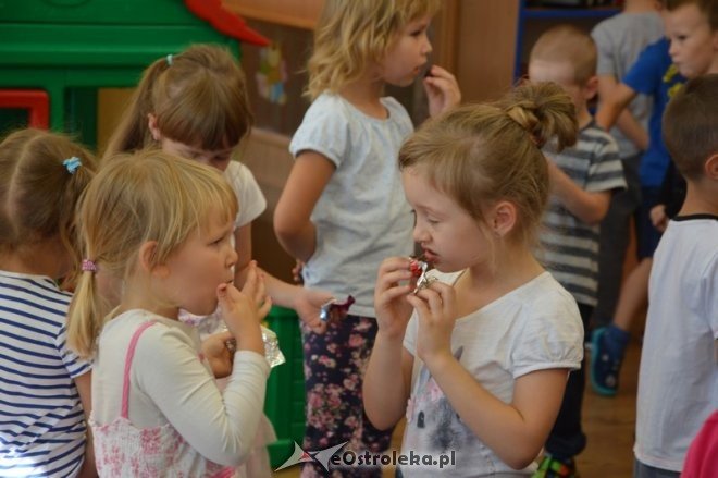 Akcja Bądź bezpieczny na drodze [03.09.2015] - zdjęcie #10 - eOstroleka.pl