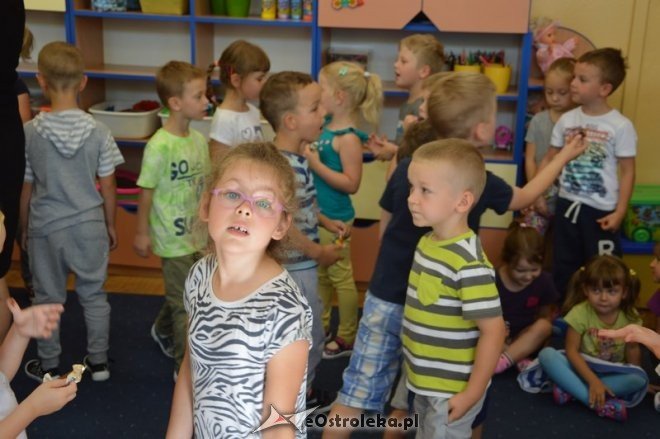 Akcja Bądź bezpieczny na drodze [03.09.2015] - zdjęcie #9 - eOstroleka.pl