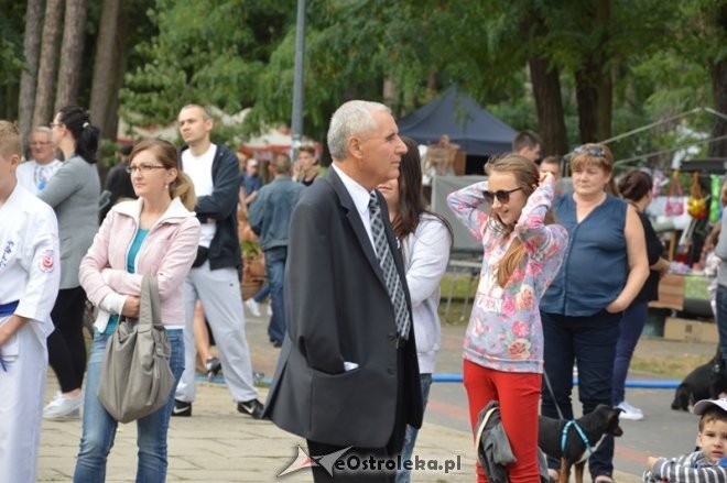 Piknik kulturalny Spotkajmy się w Parku [05.09.2015] - zdjęcie #108 - eOstroleka.pl