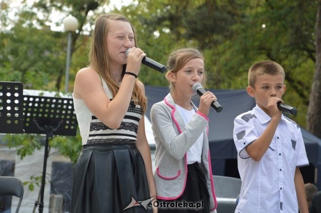 Piknik kulturalny Spotkajmy się w Parku [05.09.2015] - zdjęcie #35 - eOstroleka.pl