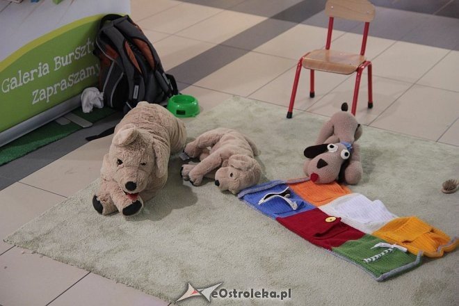 Z Bursztynową do szkoły, czyli targi zajęć pozalekcyjnych [06.09.2015] - zdjęcie #44 - eOstroleka.pl