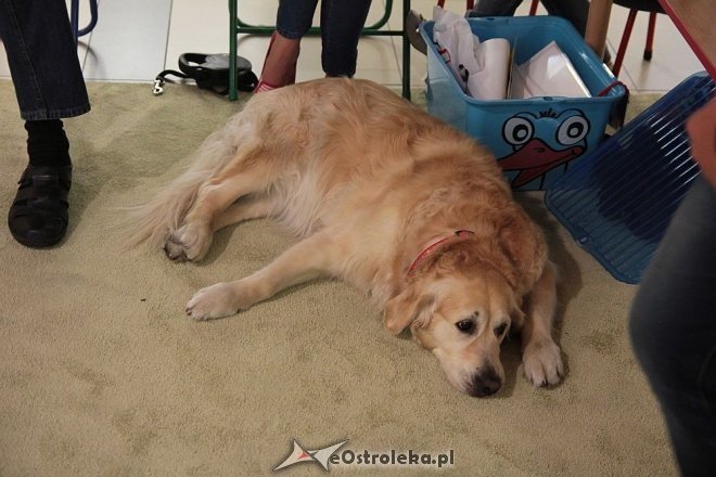 Z Bursztynową do szkoły, czyli targi zajęć pozalekcyjnych [06.09.2015] - zdjęcie #43 - eOstroleka.pl