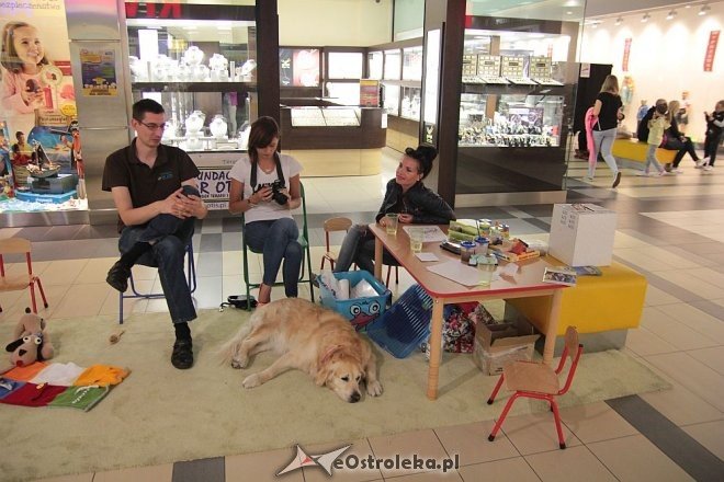 Z Bursztynową do szkoły, czyli targi zajęć pozalekcyjnych [06.09.2015] - zdjęcie #42 - eOstroleka.pl