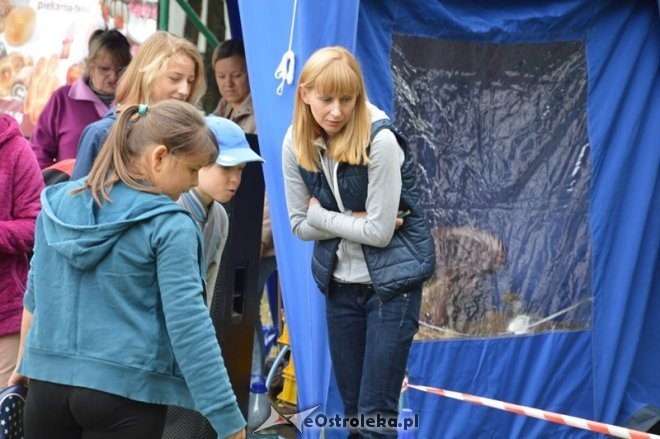 Festyn dla dzieci na os. Starosty Kosa [12.09.2015] - zdjęcie #8 - eOstroleka.pl