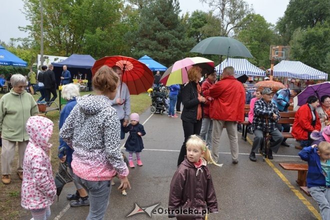 Festyn os. Wojciechowice [12.09.2015] - zdjęcie #42 - eOstroleka.pl