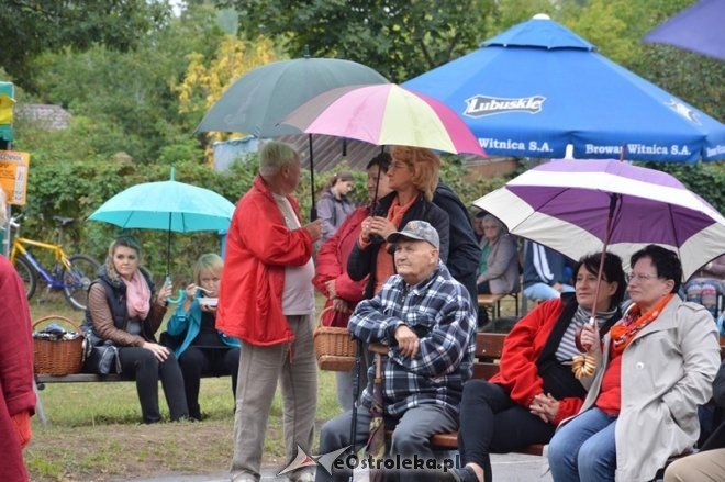 Festyn os. Wojciechowice [12.09.2015] - zdjęcie #14 - eOstroleka.pl