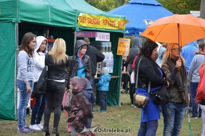 Festyn os. Wojciechowice [12.09.2015] - zdjęcie #1 - eOstroleka.pl