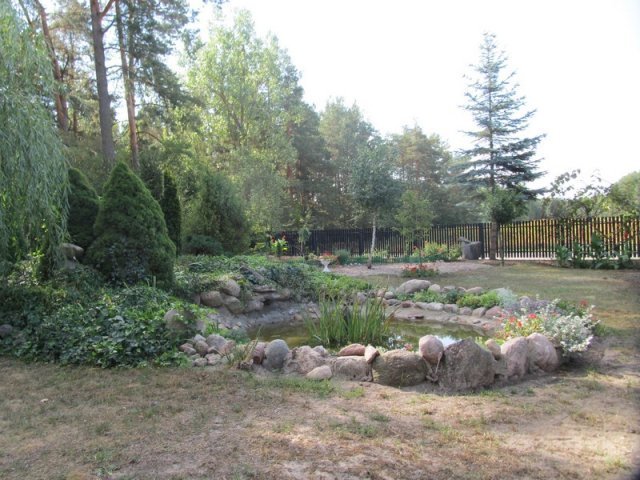 Najpiękniejsze ogrody w gminie Baranowo wybrane [16.09.2015] - zdjęcie #12 - eOstroleka.pl