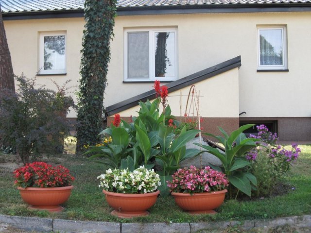 Najpiękniejsze ogrody w gminie Baranowo wybrane [16.09.2015] - zdjęcie #11 - eOstroleka.pl