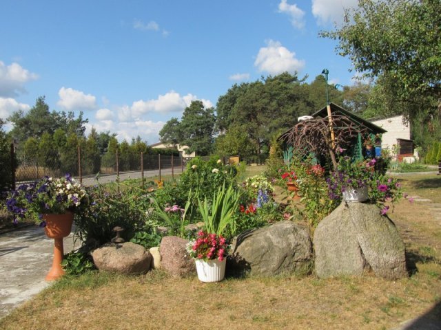 Najpiękniejsze ogrody w gminie Baranowo wybrane [16.09.2015] - zdjęcie #3 - eOstroleka.pl