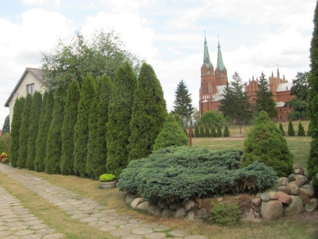 Najpiękniejsze ogrody w gminie Baranowo wybrane [16.09.2015] - zdjęcie #2 - eOstroleka.pl