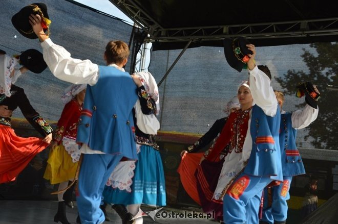 Piknik Dzień bez samochodu w MZK [20.09.2015] - zdjęcie #38 - eOstroleka.pl