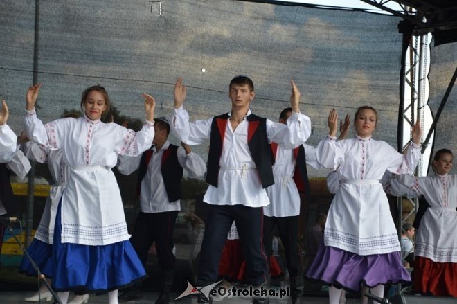 Piknik Dzień bez samochodu w MZK [20.09.2015] - zdjęcie #10 - eOstroleka.pl