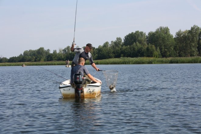 Zawady wędkarskie PZW [20.09.2015] - zdjęcie #13 - eOstroleka.pl