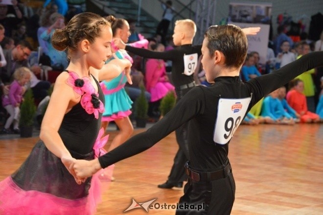Turniej O złotą podwiązkę - sesja poranna [26.09.2015] - zdjęcie #18 - eOstroleka.pl