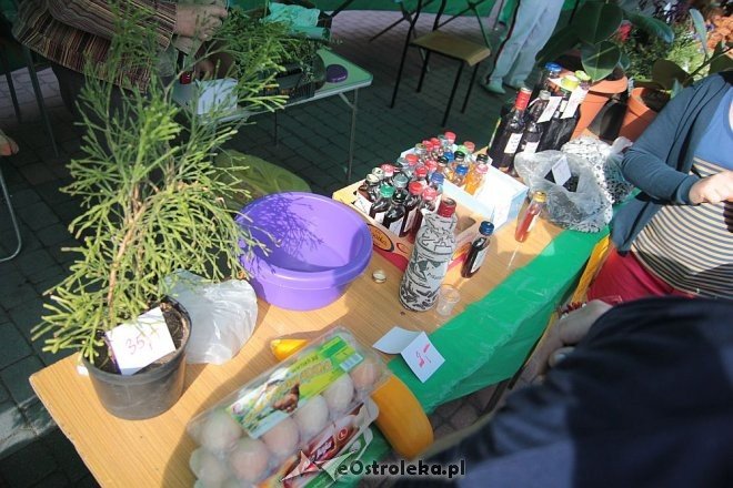 IX edycja Kurpiowskich Targów Rolniczych za nami [27.09.2015] - zdjęcie #103 - eOstroleka.pl