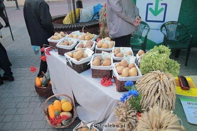 IX edycja Kurpiowskich Targów Rolniczych za nami [27.09.2015] - zdjęcie #99 - eOstroleka.pl