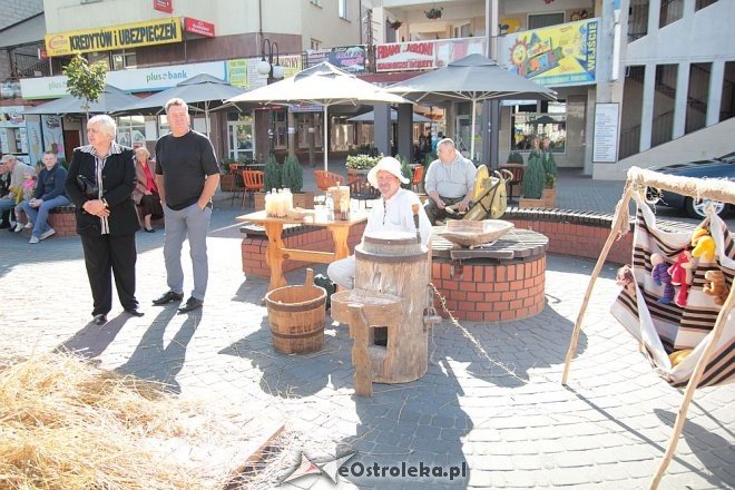 IX edycja Kurpiowskich Targów Rolniczych za nami [27.09.2015] - zdjęcie #92 - eOstroleka.pl