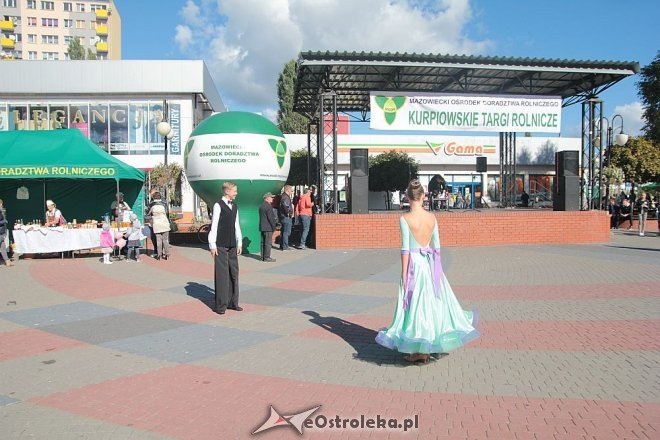 IX edycja Kurpiowskich Targów Rolniczych za nami [27.09.2015] - zdjęcie #83 - eOstroleka.pl