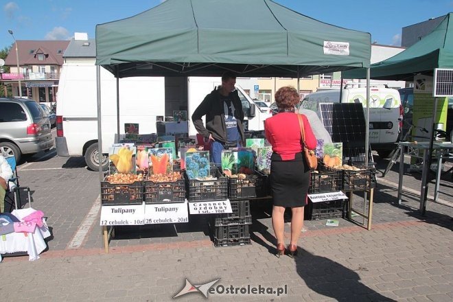 IX edycja Kurpiowskich Targów Rolniczych za nami [27.09.2015] - zdjęcie #6 - eOstroleka.pl