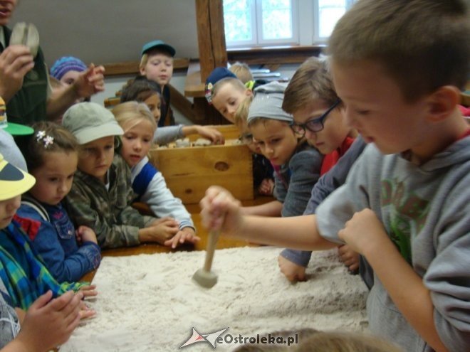 Uczniowie SP 6 z wizytą w Muzeum Leśnym w Spychowie [29.09.2015] - zdjęcie #5 - eOstroleka.pl