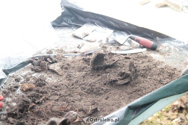 Prace ekshumacyjne prowadzone w gminie Lelis [07.10.2015] - zdjęcie #30 - eOstroleka.pl